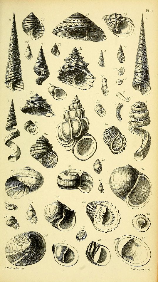 n566_w1150