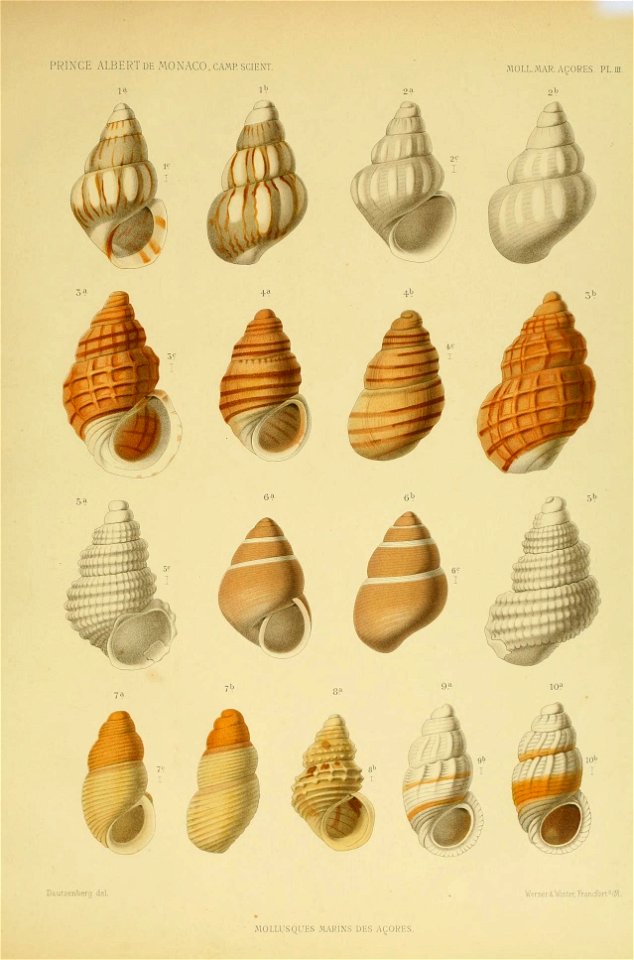 n128_w1150