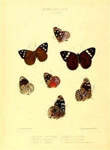 n179_w1150