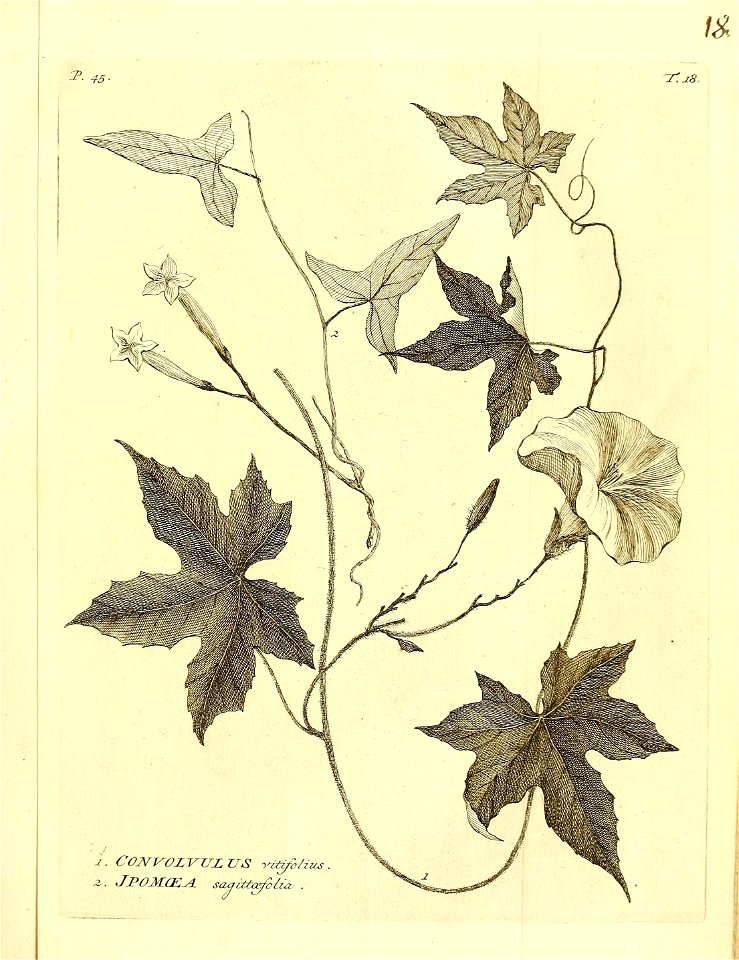 n114_w1150