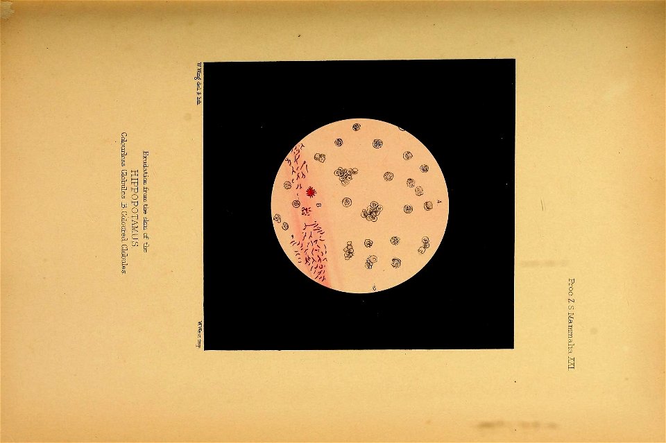 n50_w1150