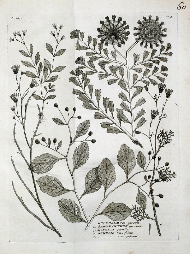 n402_w1150