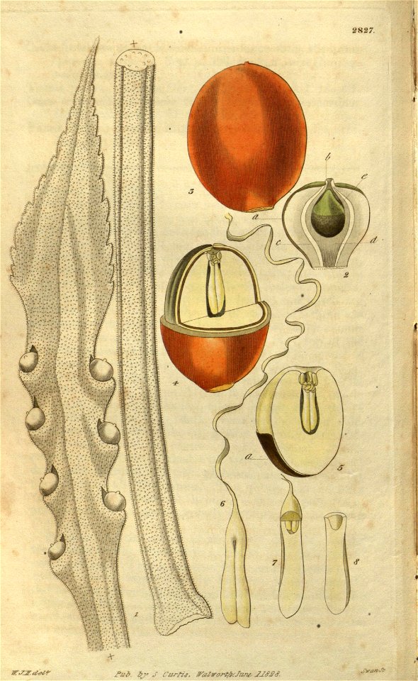 n114_w1150