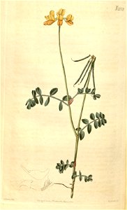 n205_w1150