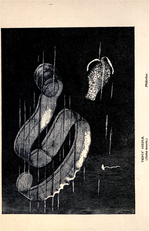 n51_w1150