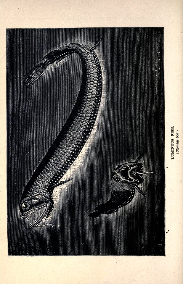 n179_w1150