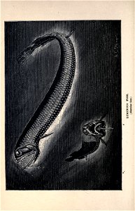 n179_w1150