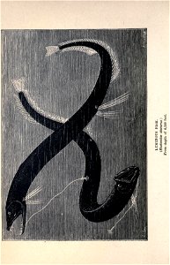 n163_w1150