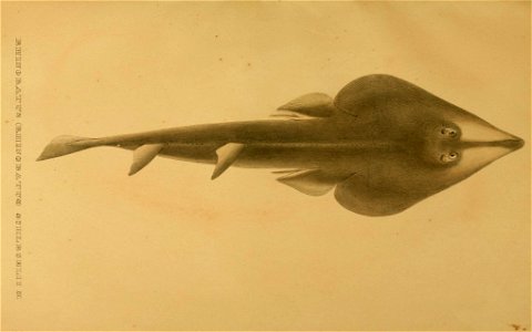 n308_w1150