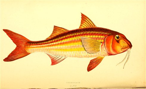 n316_w1150