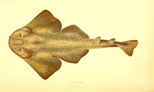 n120_w1150