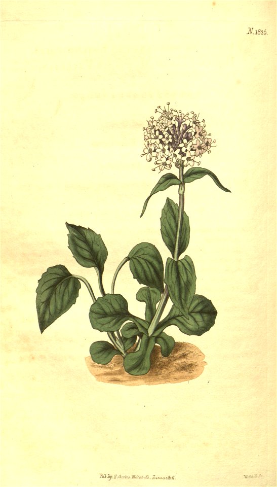 n153_w1150