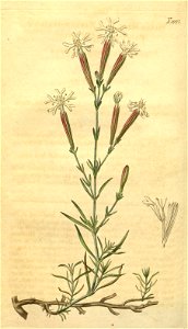 n154_w1150
