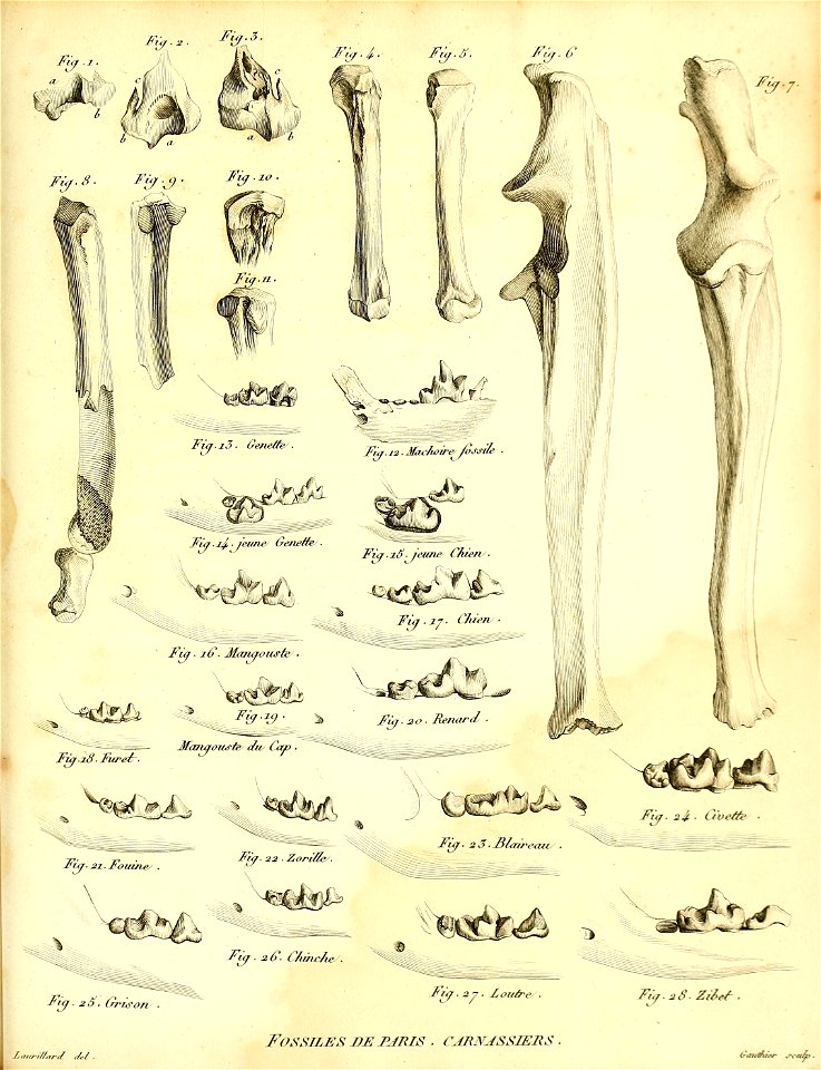 n552_w1150