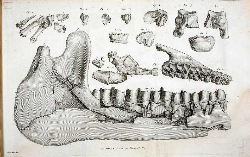 n412_w1150