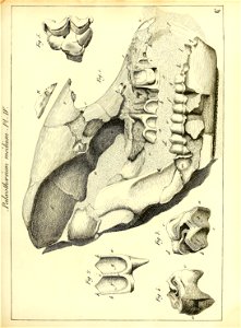 n58_w1150