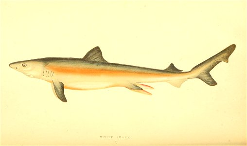 n48_w1150