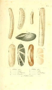n382_w1150