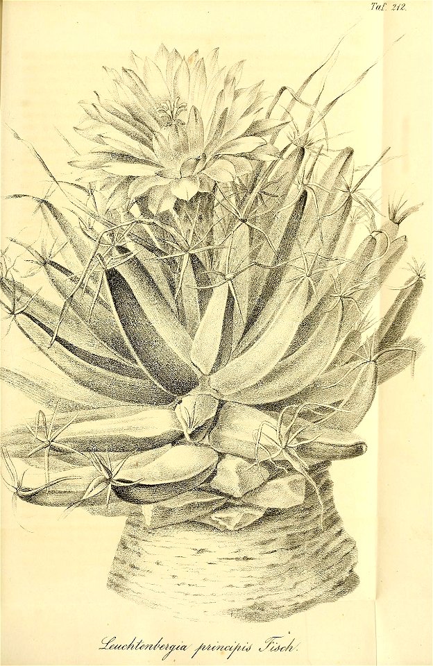 n460_w1150