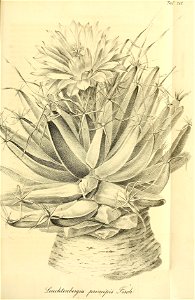 n460_w1150
