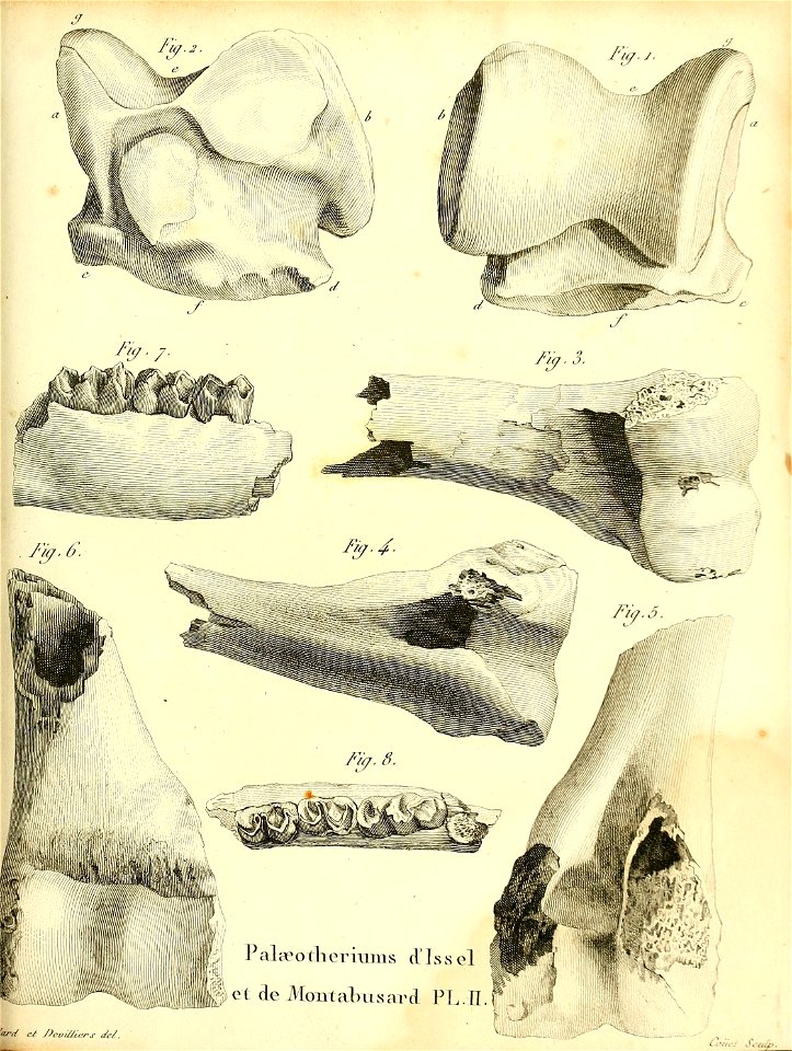 n538_w1150