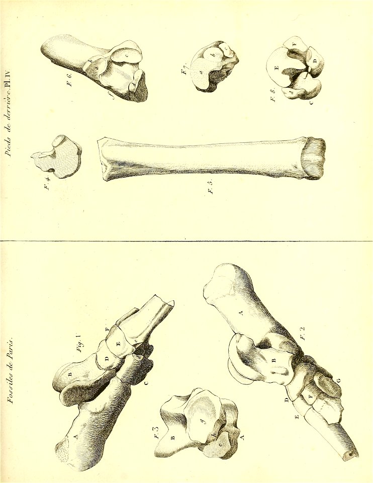n138_w1150