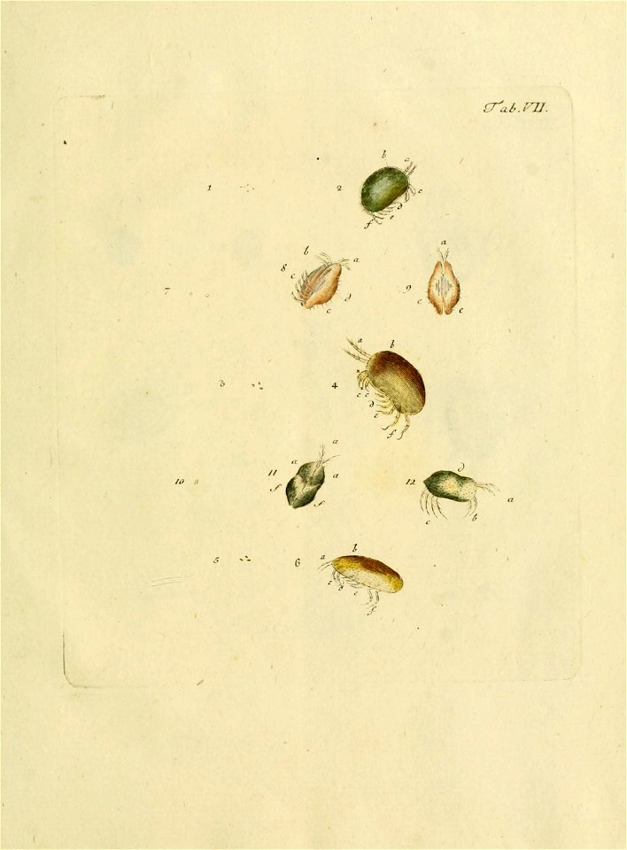 n156_w1150