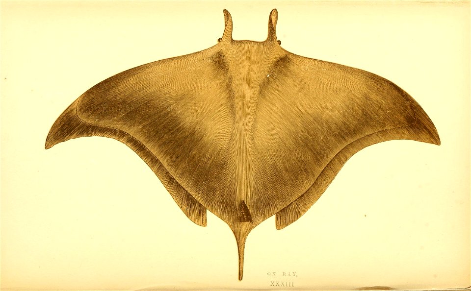 n218_w1150