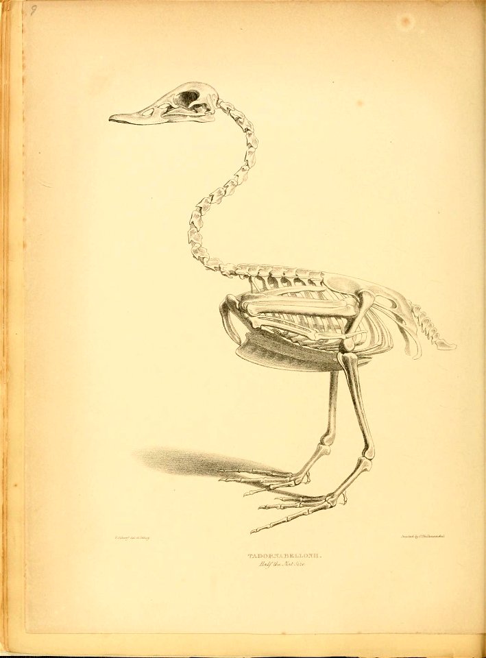 n57_w1150