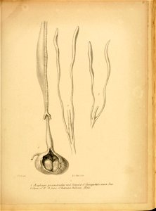 n54_w1150