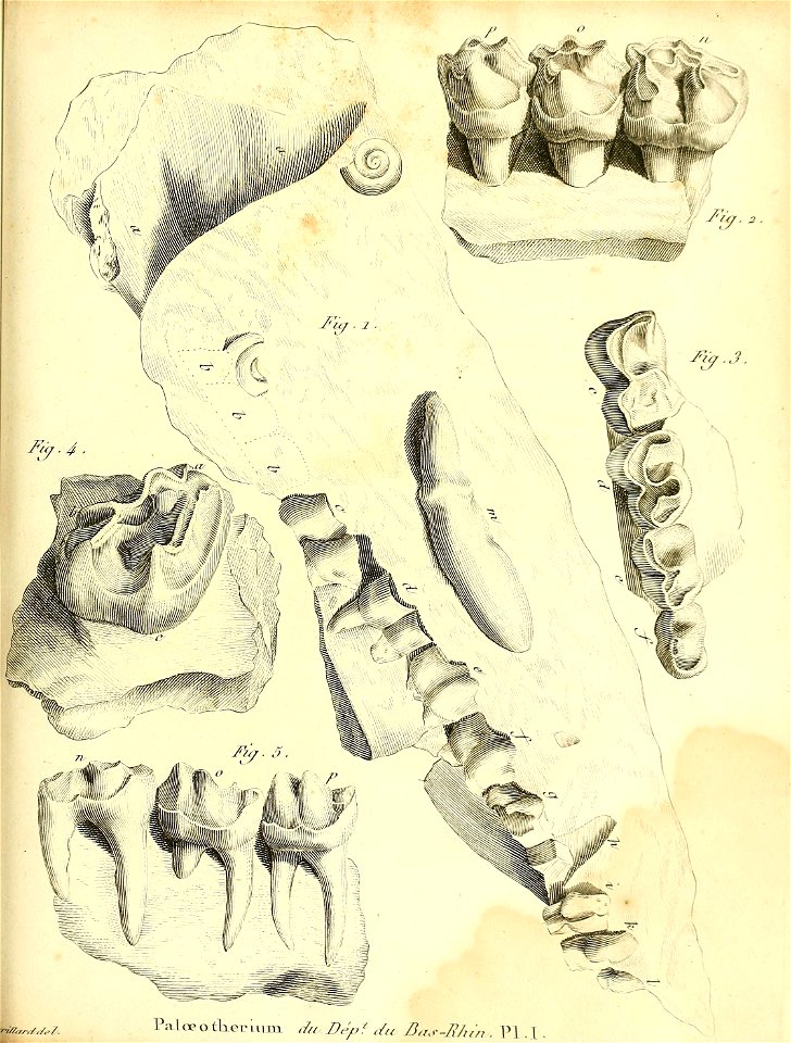 n536_w1150