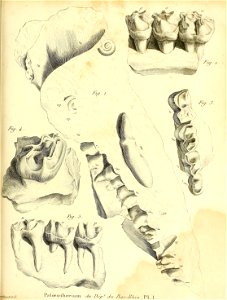 n536_w1150