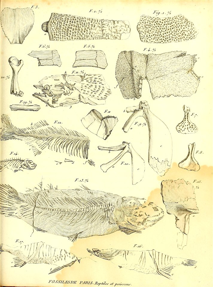 n506_w1150