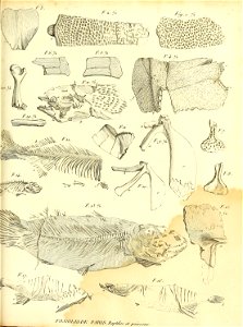 n506_w1150