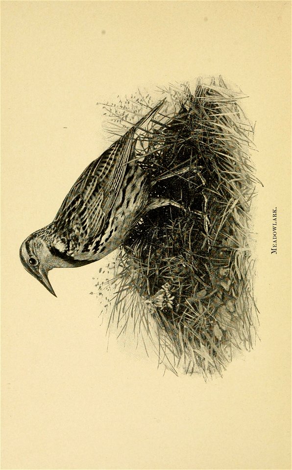 n317_w1150