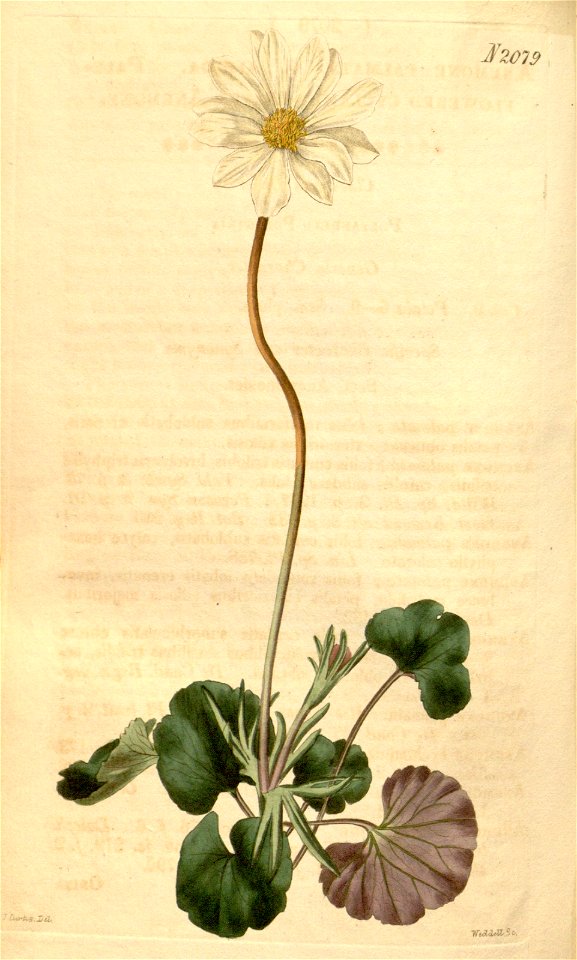 n149_w1150