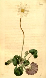 n149_w1150