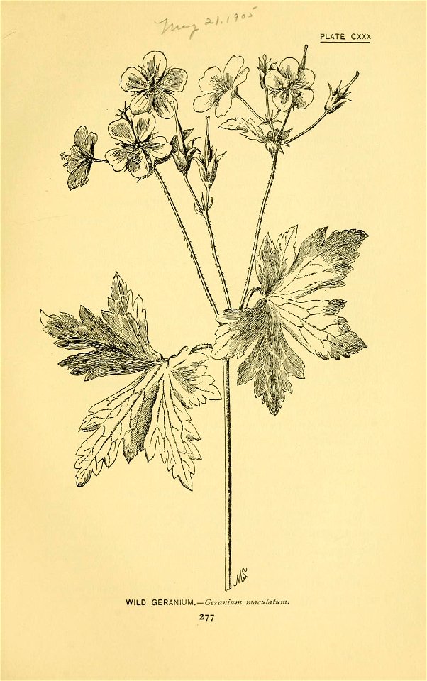 n394_w1150
