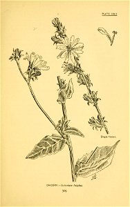 n438_w1150