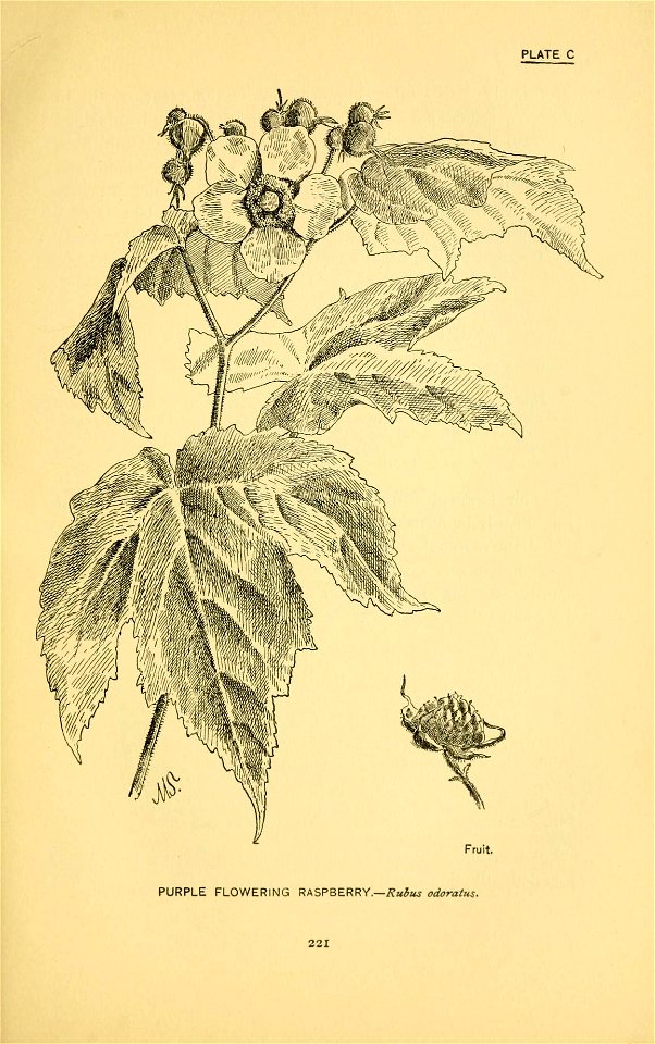 n318_w1150