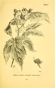 n318_w1150
