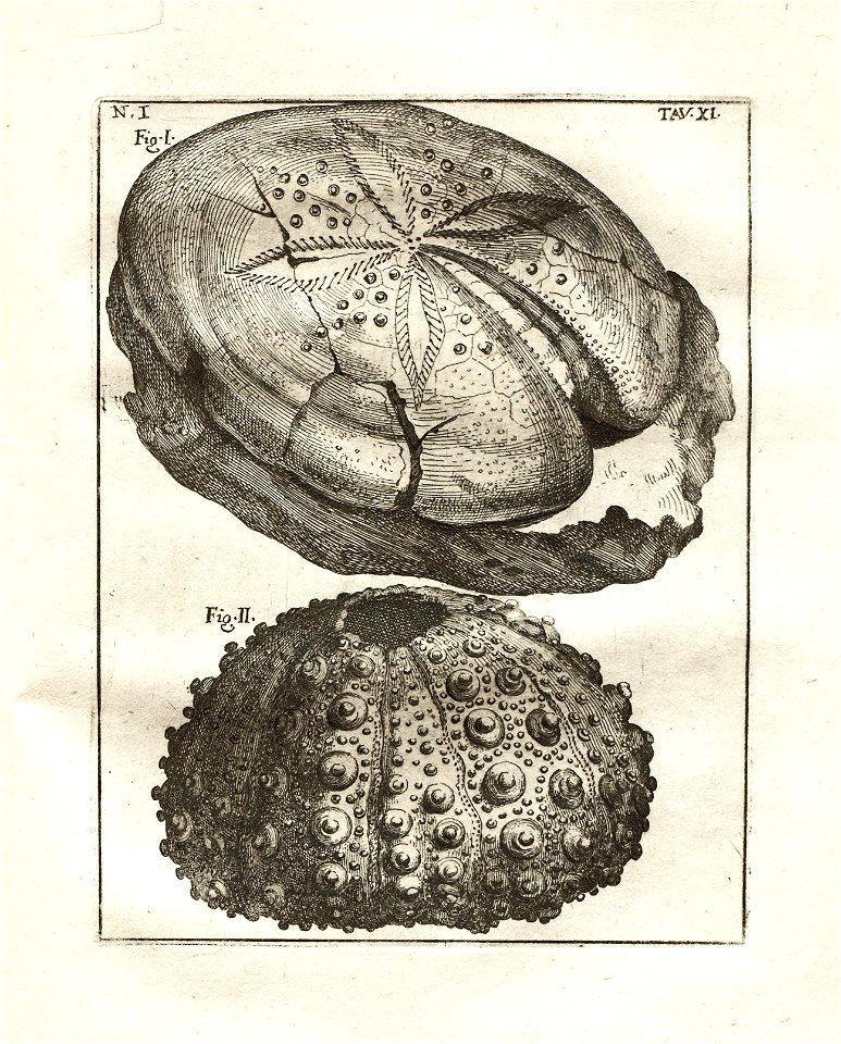 n105_w1150