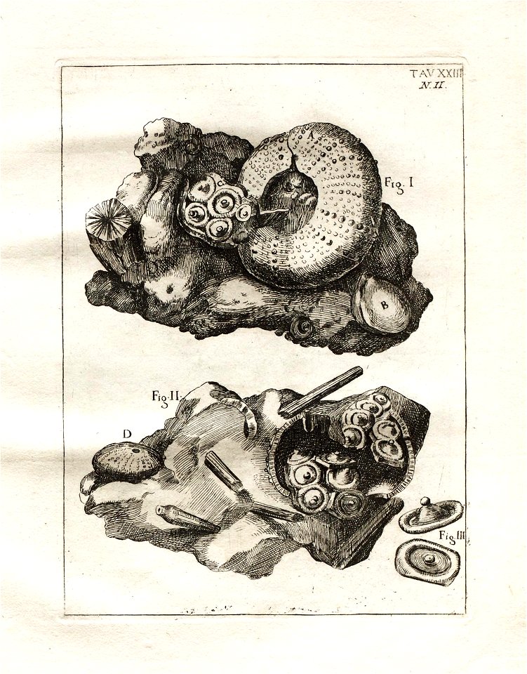 n119_w1150