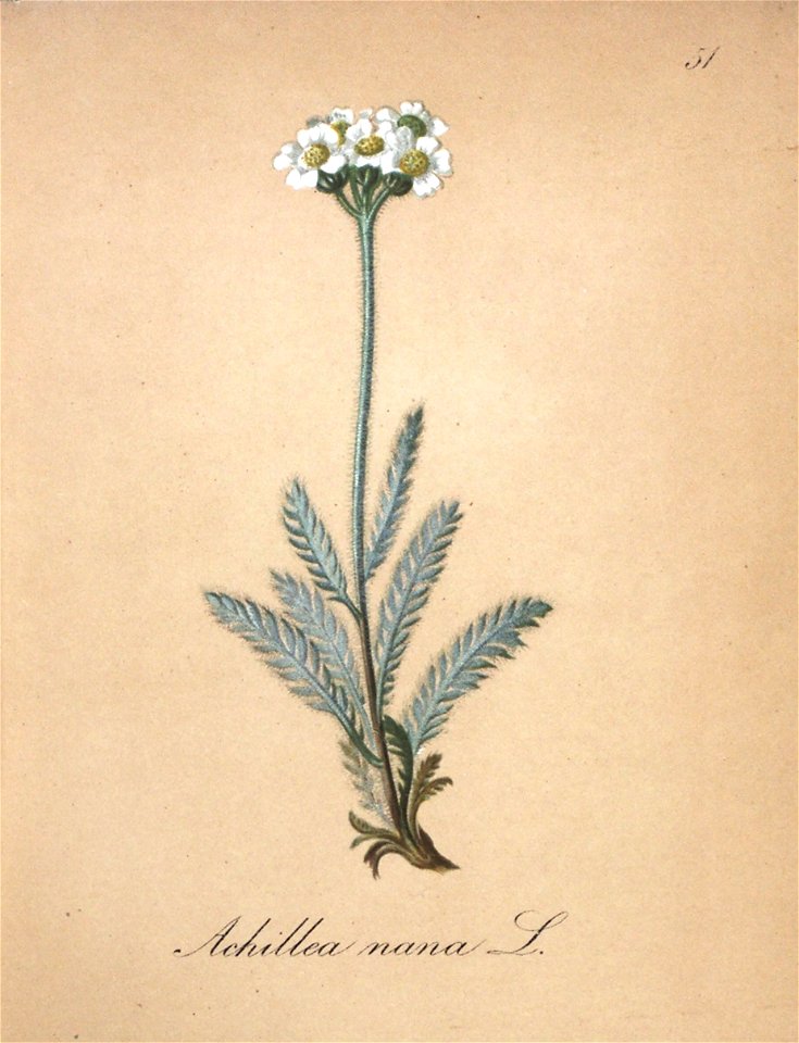 n159_w1150