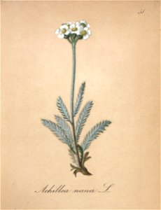 n159_w1150