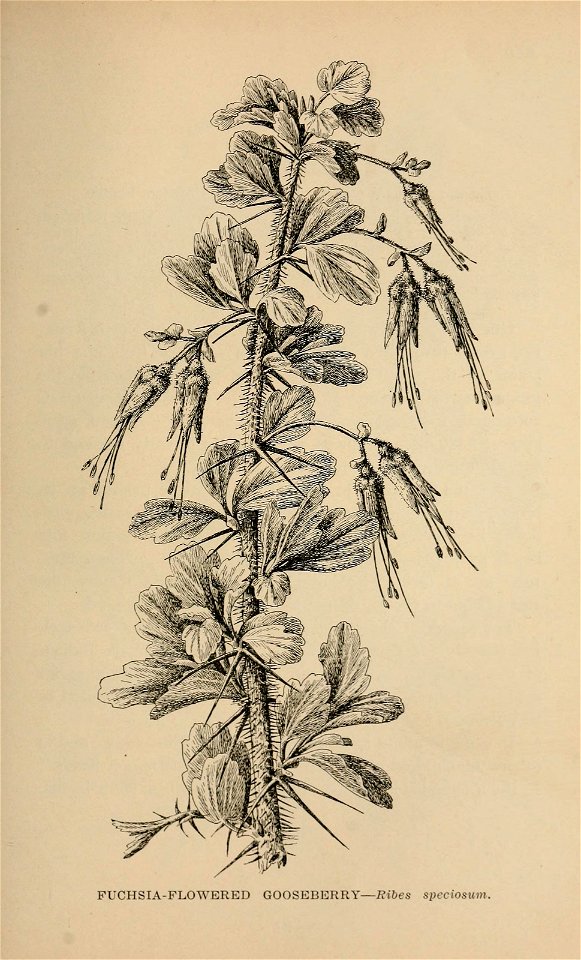 n394_w1150