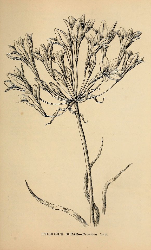 n358_w1150