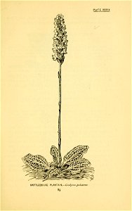 n148_w1150