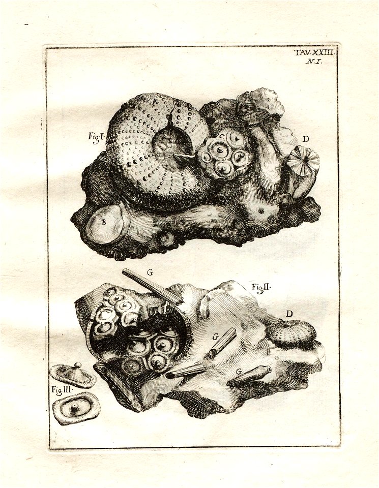 n118_w1150