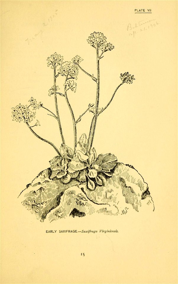 n66_w1150